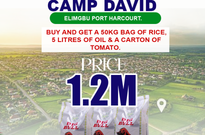 CAMP-DAVID ESTATE ODAGWA, PH
